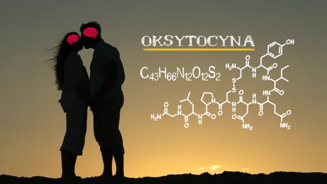 Oksytocyna