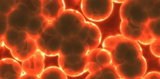 zespół drażliwego jelita