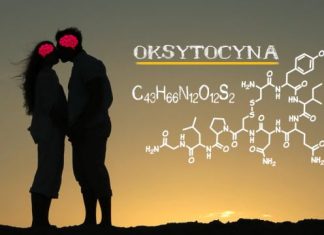 Oksytocyna – produkcja hormonu, działanie, właściwości Oksytocyna