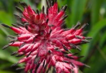 Co daje wazelina pod oczy? Co daje wazelina pod oczy?