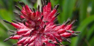 Co daje wazelina pod oczy? Co daje wazelina pod oczy?