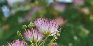 Co daje jedwabna opaska na oczy? Co daje jedwabna opaska na oczy?