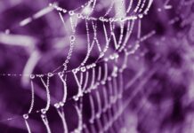 Gdzie kupić oryginalne Ray Ban? Gdzie kupić oryginalne Ray Ban?