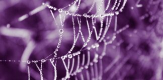 Gdzie kupić oryginalne Ray Ban?