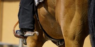 Kiedy zakładać pas?