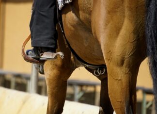 Kiedy zakładać pas?