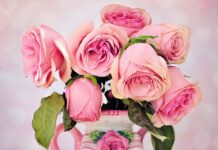 Czym się różni pasek damski od męskiego? Czym się różni pasek damski od męskiego?