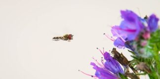 W jakiej piżamie spać?