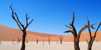 Ile razy w tygodniu ćwiczyć martwy ciąg?