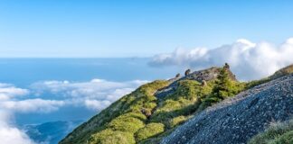 Jaka jest różnica między parasolem a parasolka?