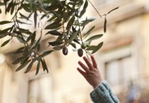 Czy skórzany pasek się rozciąga?