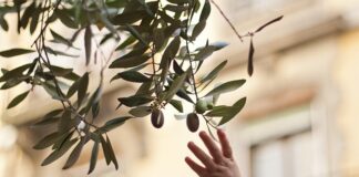 Czy skórzany pasek się rozciąga?