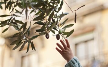 Czy skórzany pasek się rozciąga?