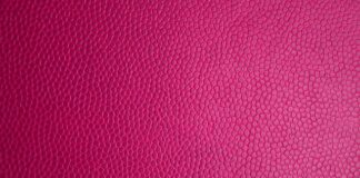 Co można zrobić ze skóry?