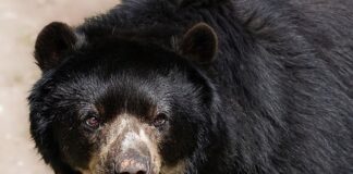 Jak czytać oznaczenia na okularach przeciwsłonecznych?