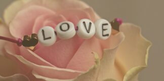 Co oznacza Bransoletka ze skrzydłami? Co oznacza Bransoletka ze skrzydłami?