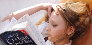 Z jakiego języka pochodzi słowo peruka?