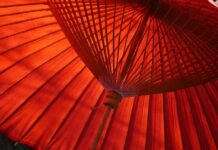 Czym się różni parasol od dziecka z Afryki? Czym się różni parasol od dziecka z Afryki?