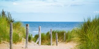 Jakie klamry do cienkich włosów?