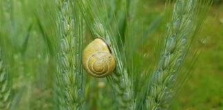 Jak uszczelnić parasol? Jak uszczelnić parasol?