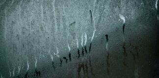 Co pochłania wilgoć w butach? Co pochłania wilgoć w butach?