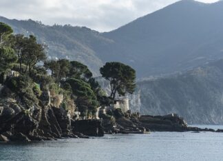 Ile kosztuje gram obrączki?