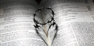 Ile w martwym ciągu to dobry wynik?