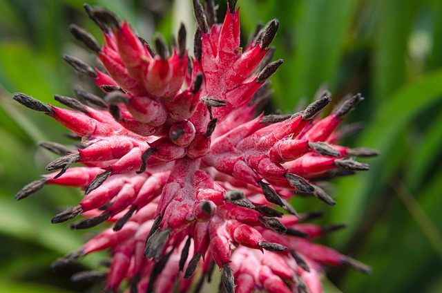 Co daje wazelina na twarz? Co daje wazelina na twarz?