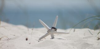 Na którym palcu nosi się obrączkę po rozwodzie? Na którym palcu nosi się obrączkę po rozwodzie?