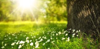 Gdzie kupić łaty na spodnie?