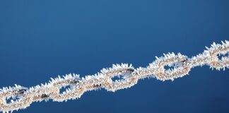 Na co przykleić kryształki do ubrań?