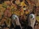 Czym się różnią sneakersy od trampek? Czym się różnią sneakersy od trampek?