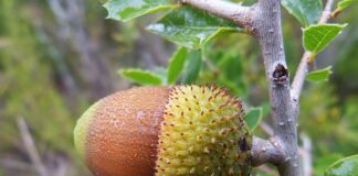 Jak pozbyć się wilgoci z butów?