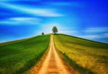 Czy chodzenie w rozpuszczonych włosach je niszczy?