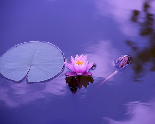 Kiedy jest dzień śpiocha? Kiedy jest dzień śpiocha?
