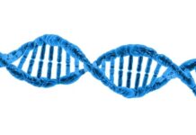Co to znaczy helix? Co to znaczy helix?
