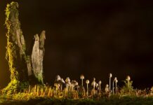 Jakie są rodzaje ściegów? Jakie są rodzaje ściegów?