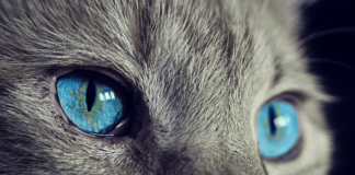 Dlaczego boli głowa w okularach?