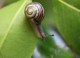 Na jakich palcach można nosić pierścionki?