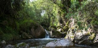 Czy w Polsce są jakieś gangi? Czy w Polsce są jakieś gangi?