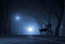 Jakie są polskie firmy? Jakie są polskie firmy?