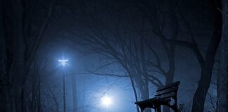 Jakie są polskie firmy? Jakie są polskie firmy?