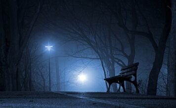 Jakie są polskie firmy?