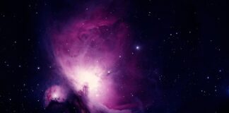 Co oznacza czarna opaska na nadgarstku?