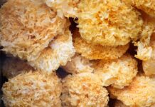 Dlaczego bolą mnie uszy od kolczyków?