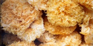 Dlaczego bolą mnie uszy od kolczyków? Dlaczego bolą mnie uszy od kolczyków?