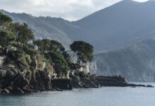 Ile kosztuje metr podszewki? Ile kosztuje metr podszewki?