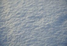 Kiedy pierwszy stolec po porodzie?