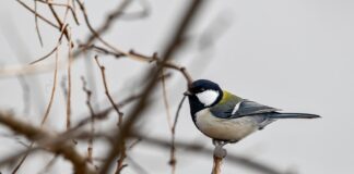 Dlaczego ciągle stoją mi sutki? Dlaczego ciągle stoją mi sutki?