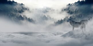 Jaka piżama na zimę? Jaka piżama na zimę?